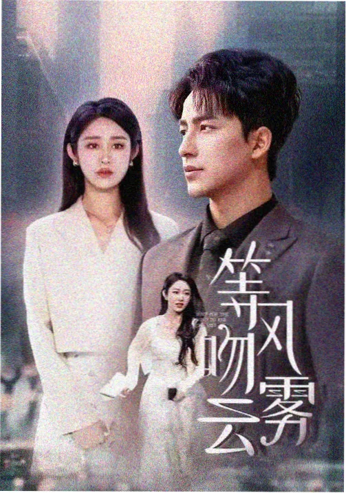 悬疑剧集深巷灯火封面